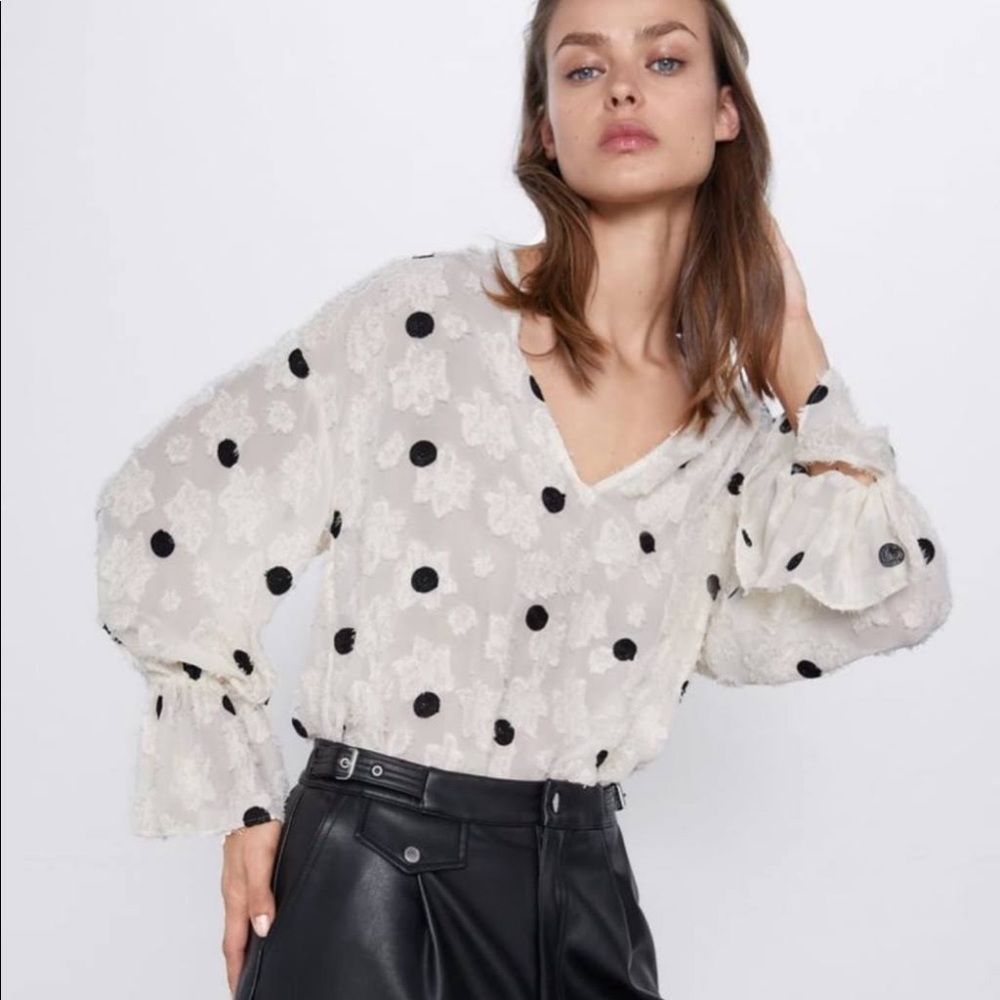 Zara Polka Dot Blouse